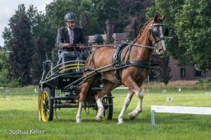 dressuur en vaardigheid  nienoord 10-8-2015  joshua keller-0011     